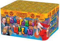 Новогодние цветы Фейерверк купить в Лебедяни | lebedyan.salutsklad.ru