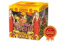 Красивая жизнь Фейерверк купить в Лебедяни | lebedyan.salutsklad.ru