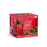 Пионы Салют купить в Лебедяни | lebedyan.salutsklad.ru