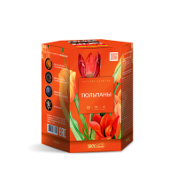 Тюльпаны Салют купить в Лебедяни | lebedyan.salutsklad.ru