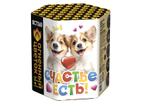 Счастье есть! Салют купить в Лебедяни | lebedyan.salutsklad.ru