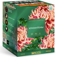 Хризантемы Фейерверк купить в Лебедяни | lebedyan.salutsklad.ru