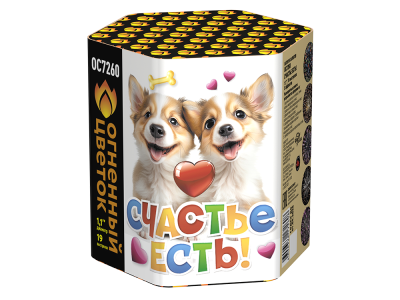 Счастье есть! Салют купить в Лебедяни | lebedyan.salutsklad.ru